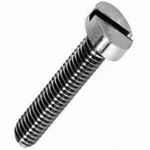 Slotted Head Screw